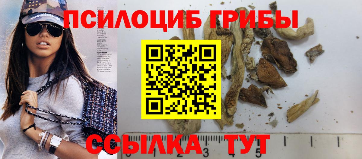 Галлюциногенные грибы мицелий Советский